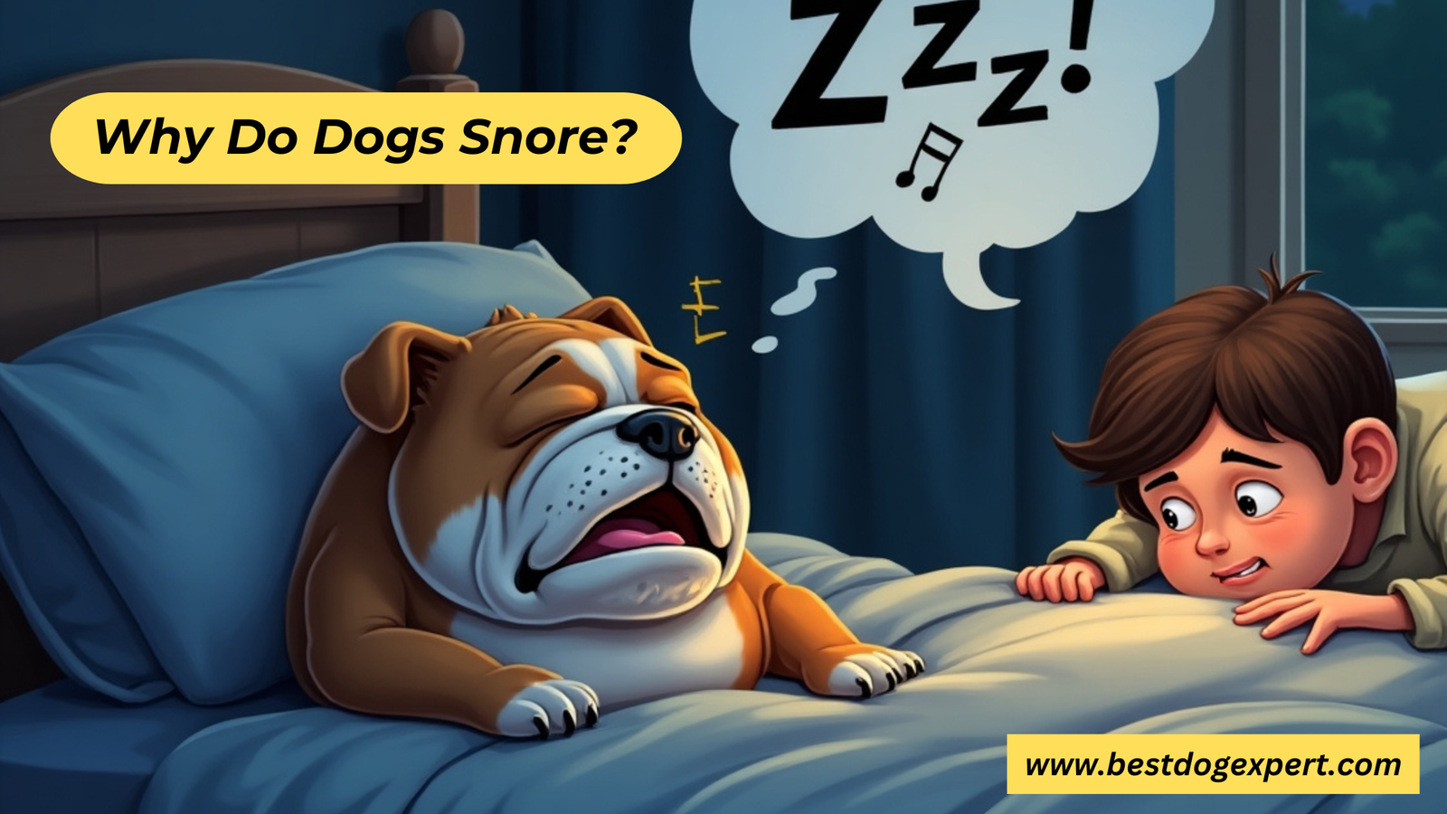 Why Do Dogs Snore?