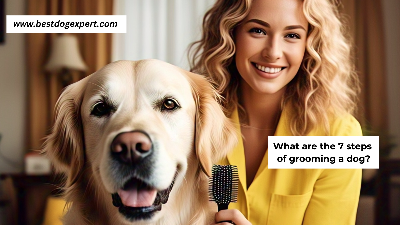 What are the 7 steps of grooming a dog?